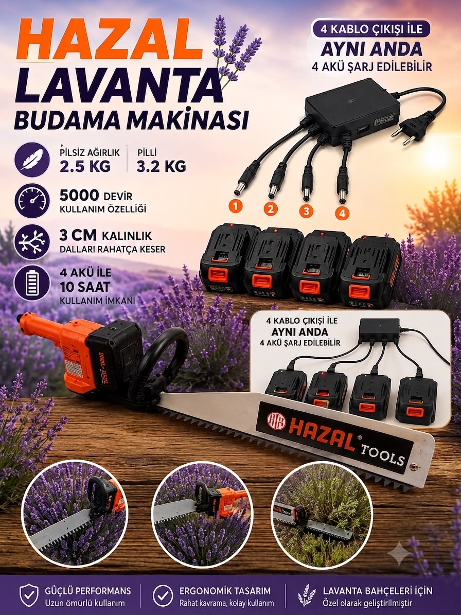 HAZALLAVANTA blank